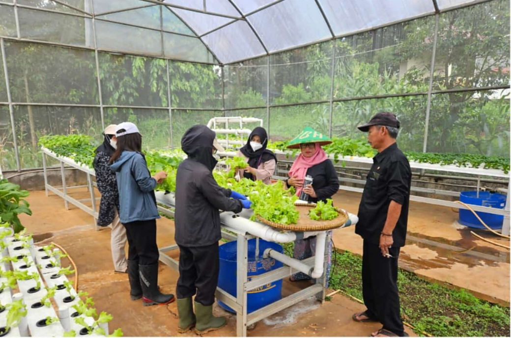 Panen Hasil Pertanian