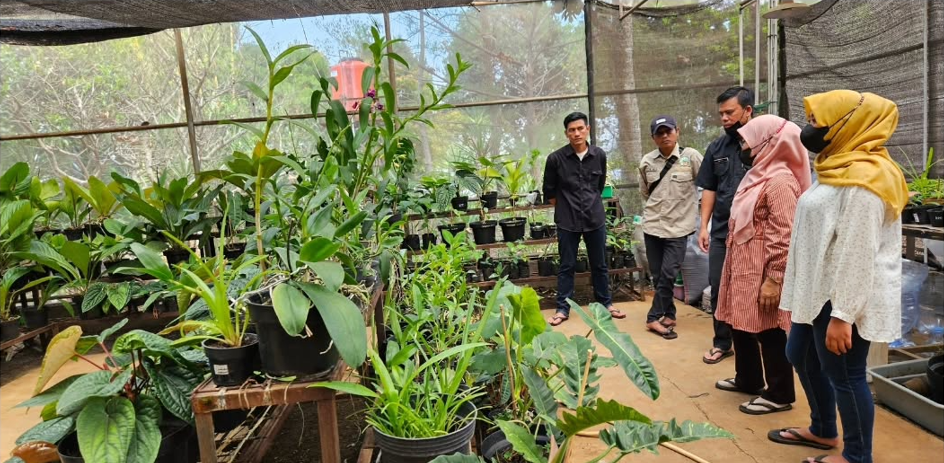 Pelatihan Kultur Jaringan